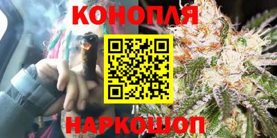 стаф Канаш