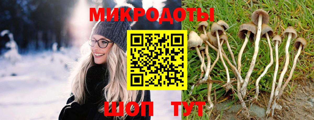 продажа наркотиков  Галлюциногенные грибы прущие грибы  Вход с VPN  Биробиджан 